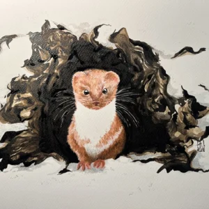 atelier-dessin-audenge