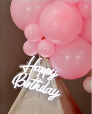 Mascotte de Mascottes BA lors d’un anniversaire d’enfant