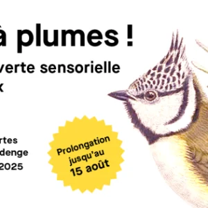 expo-tous-a-plumes