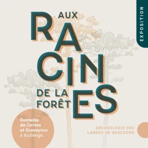 exposition-domaine-de-certes