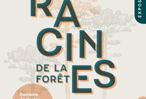 exposition-domaine-de-certes
