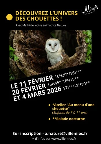 escapade-nocturne-mios