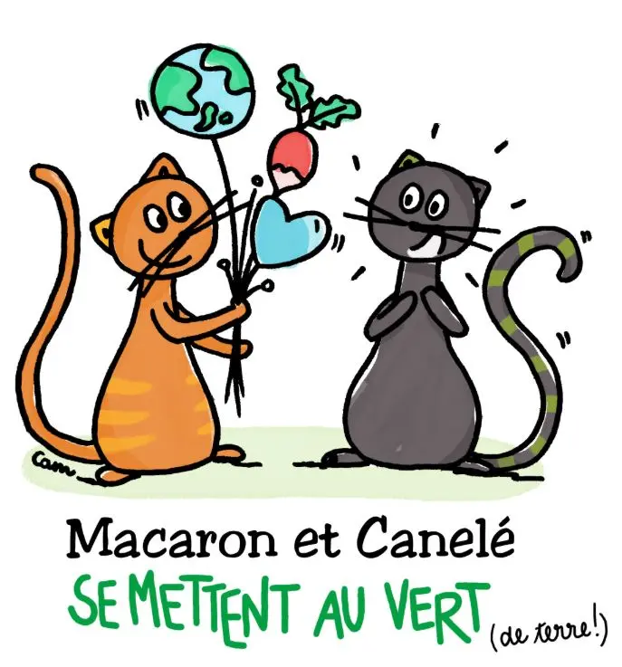macaron-et-cannele