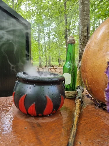 foret-magique-bassin