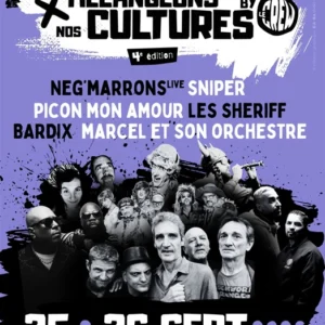 festival-melangeons-nos-cultures