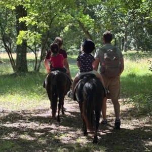 balade-a-poney-ares