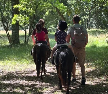 balade-a-poney-ares