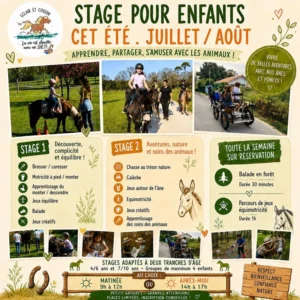 stage-poney-ares