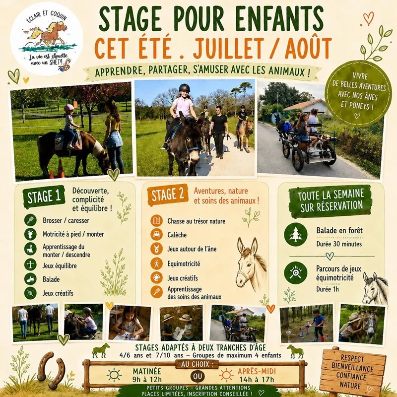stage-poney-ares