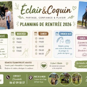equimotricite-balade-poney-ares