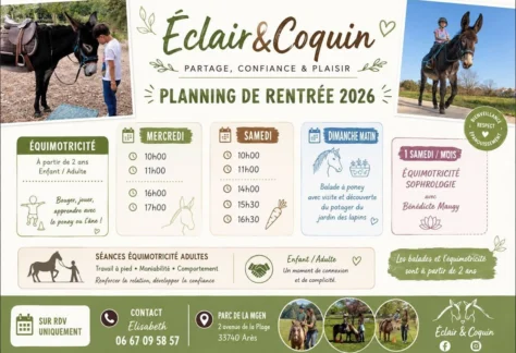 equimotricite-balade-poney-ares