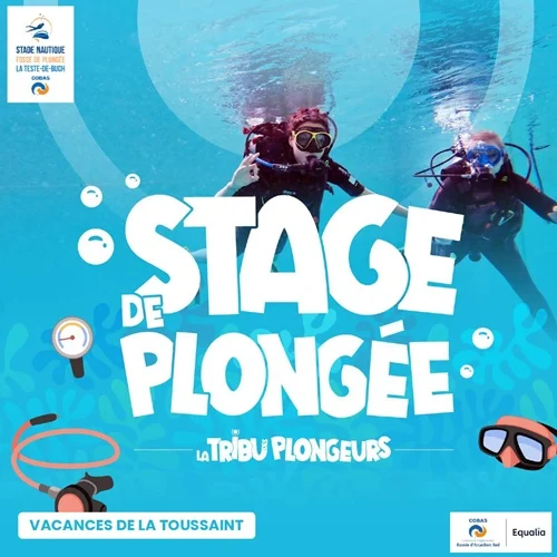 stage-plongee-toussaint