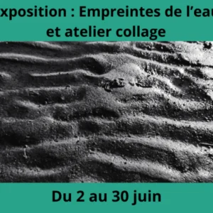 exposition-le-teich