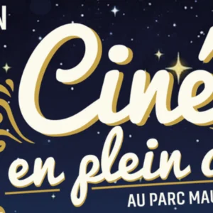 cine-plein-art-arcachon