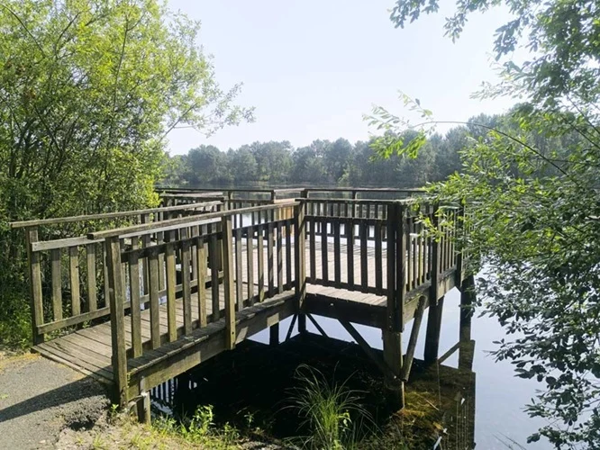 restaurant-familial-lac-bassinarcachon