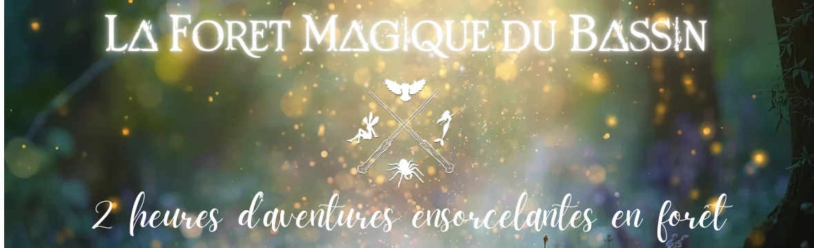 pub-foret-magique-bassin